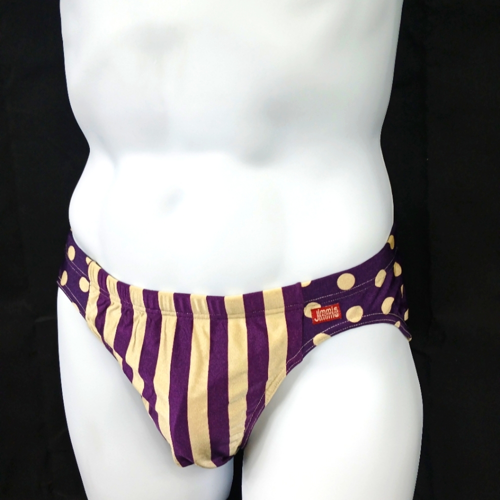 Purple and Gold Striped Swim Briefs Size S